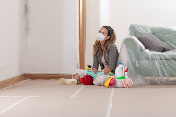 Reliable Mold Remediation contractor in Dania, FL by WQB Mold Removal